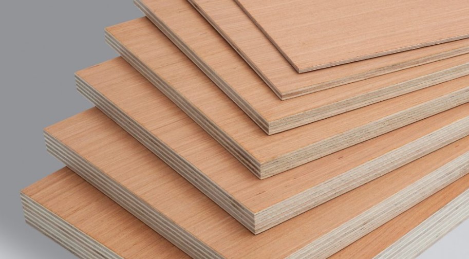Jenis-Jenis Kayu Polywood dan Kegunaannya